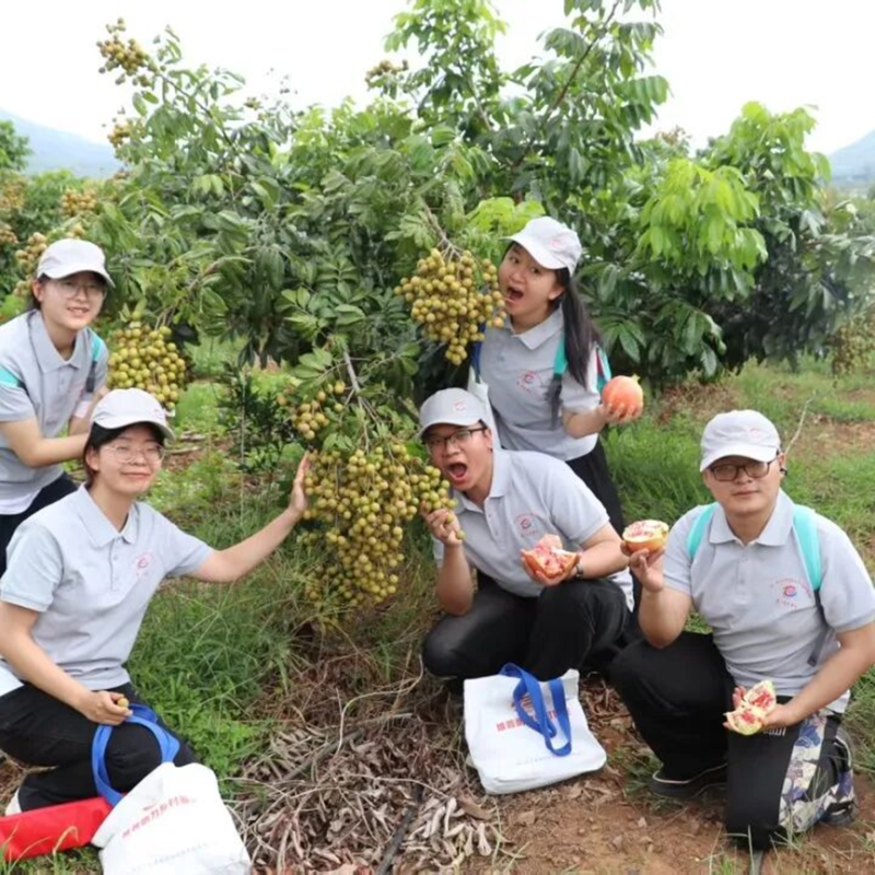 丽江师范学院“语”路生花推普纪实④┃ “语”暖乡途：步履间的成长与感悟-语路生花